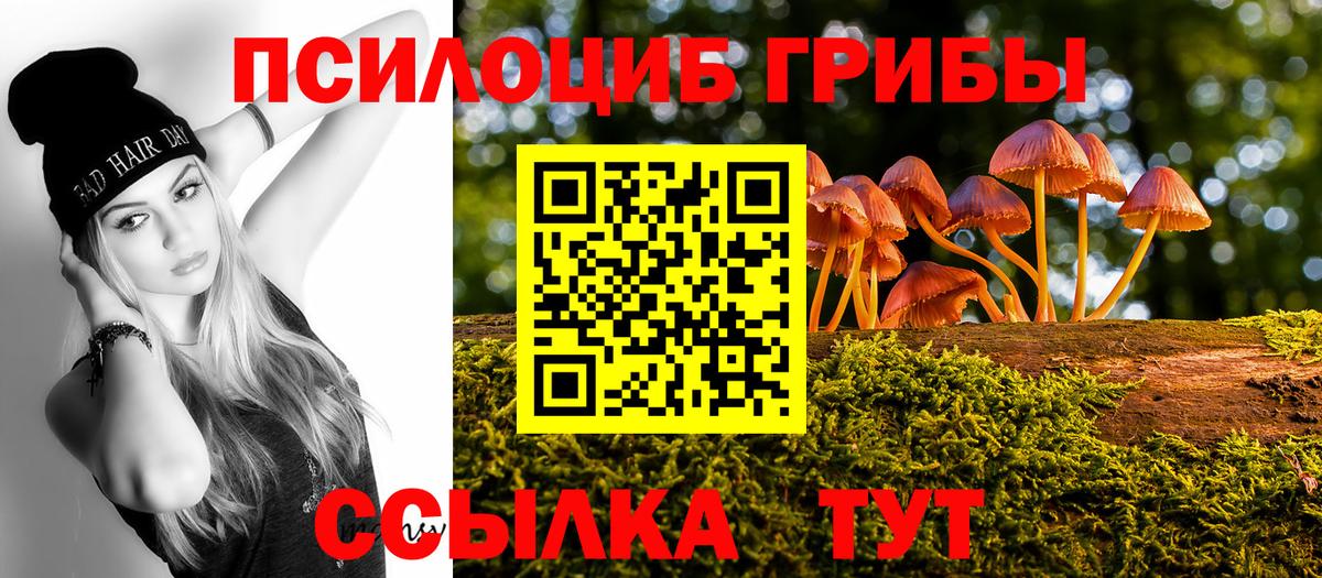 Псилоцибиновые грибы мухоморы  Галлюциногенные грибы Psilocybine cubensis  Вход с VPN  Энгельс 