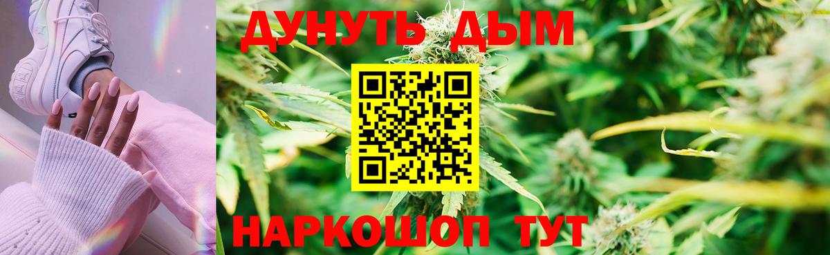 Каннабис планчик Энгельс